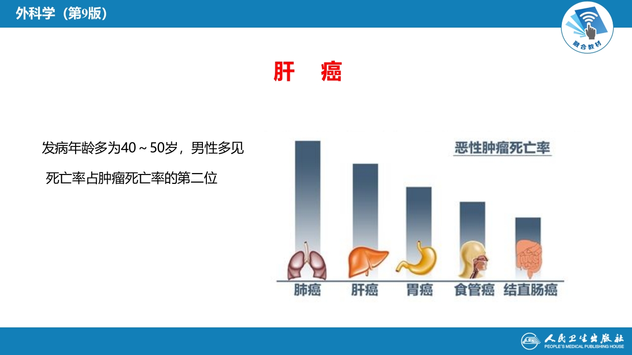 第三十八章 肝疾病 第五、六、七节