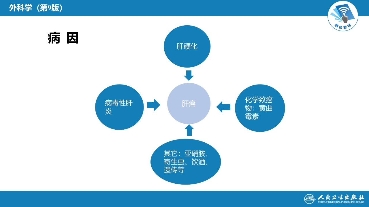 第三十八章 肝疾病 第五、六、七节