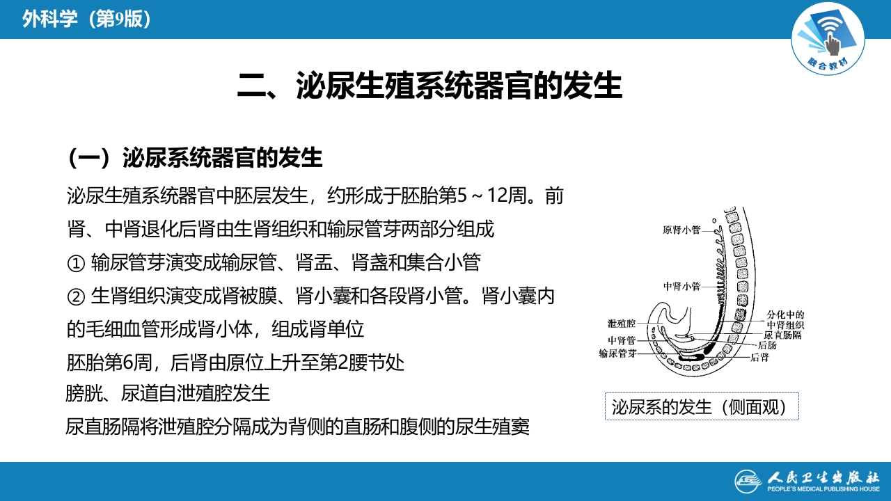 第四十七章 泌尿、男生殖系统先天性畸形