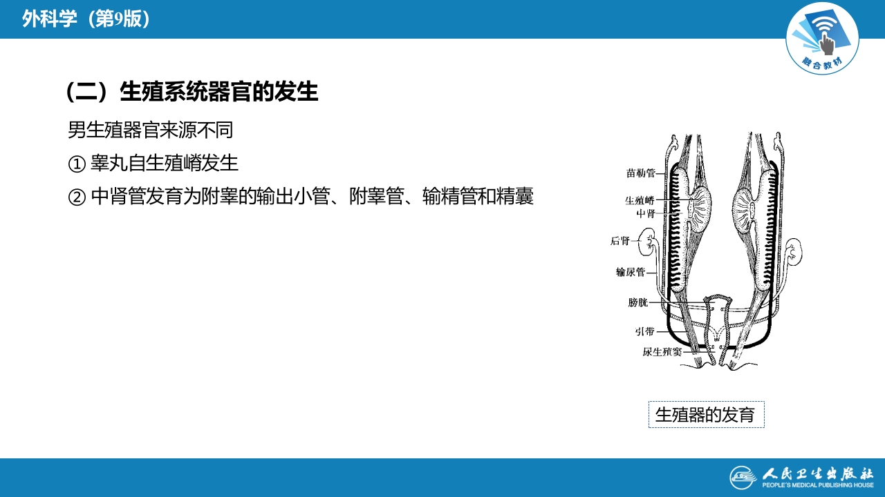 第四十七章 泌尿、男生殖系统先天性畸形