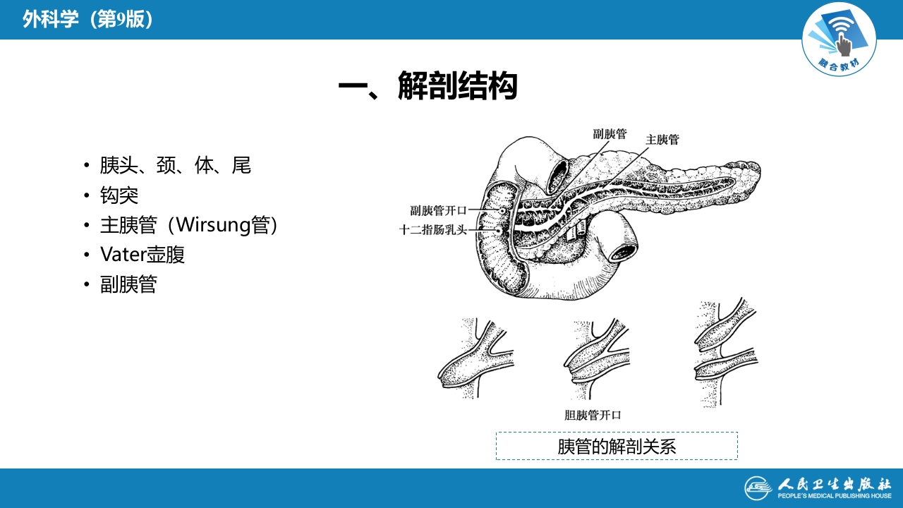 第四十一章 胰腺疾病 第四十一章 第一、二节