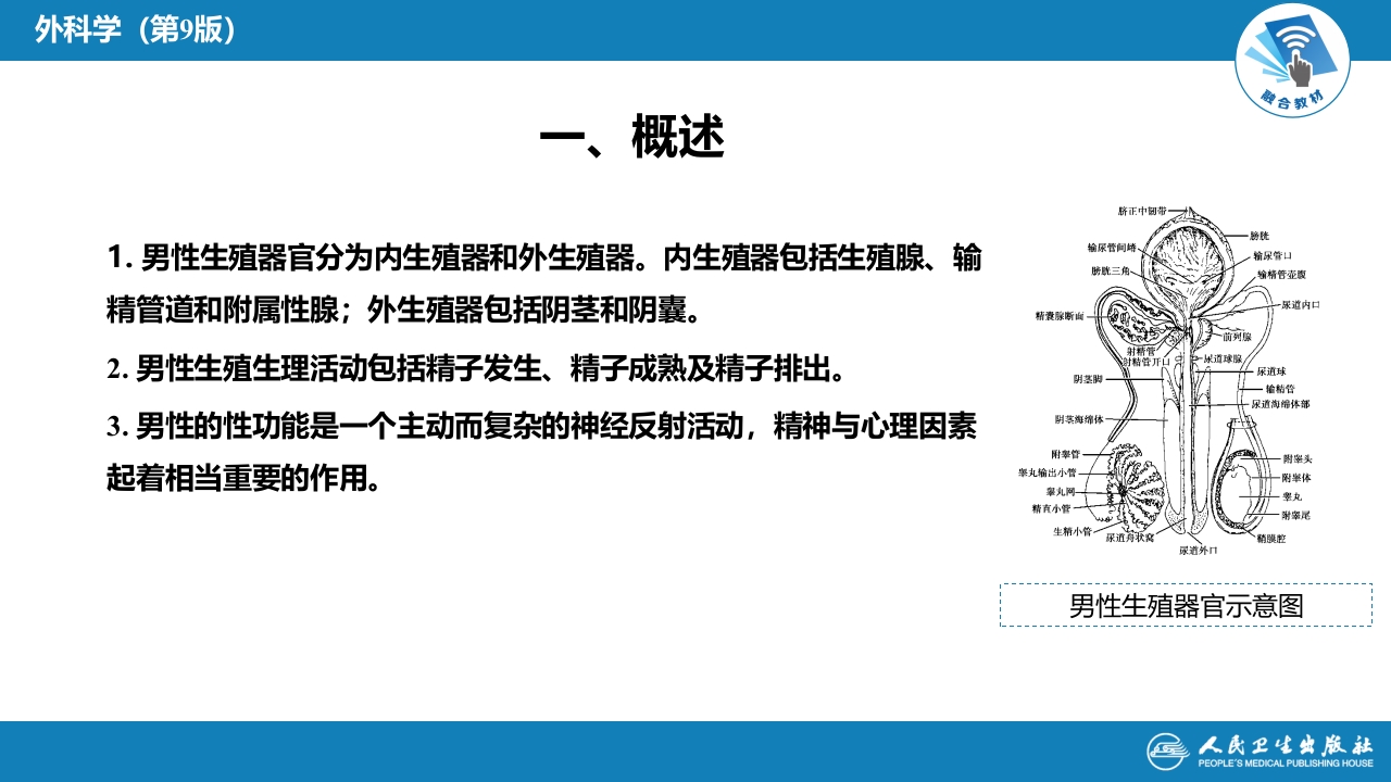 第五十六章 男性性功能障碍、不育和节育