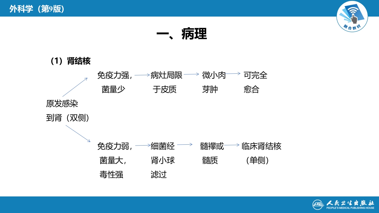 第五十章 泌尿、男生殖系统结核