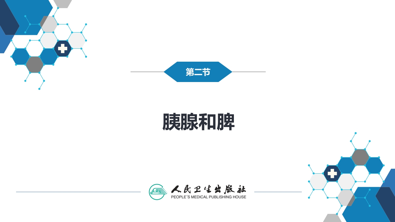 第七章 消化系统与腹膜腔 第二节 胰腺、脾