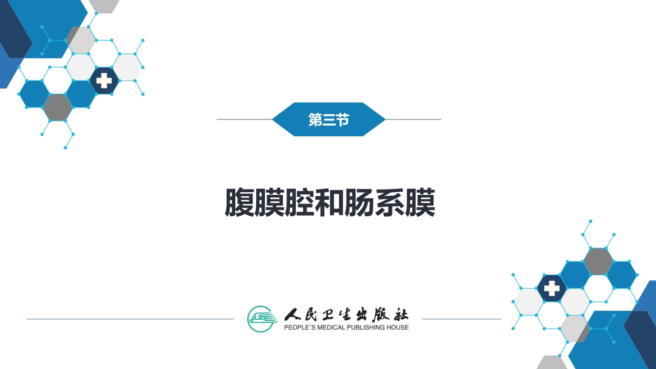 第七章 消化系统与腹膜腔 第三节 腹膜腔和肠系膜