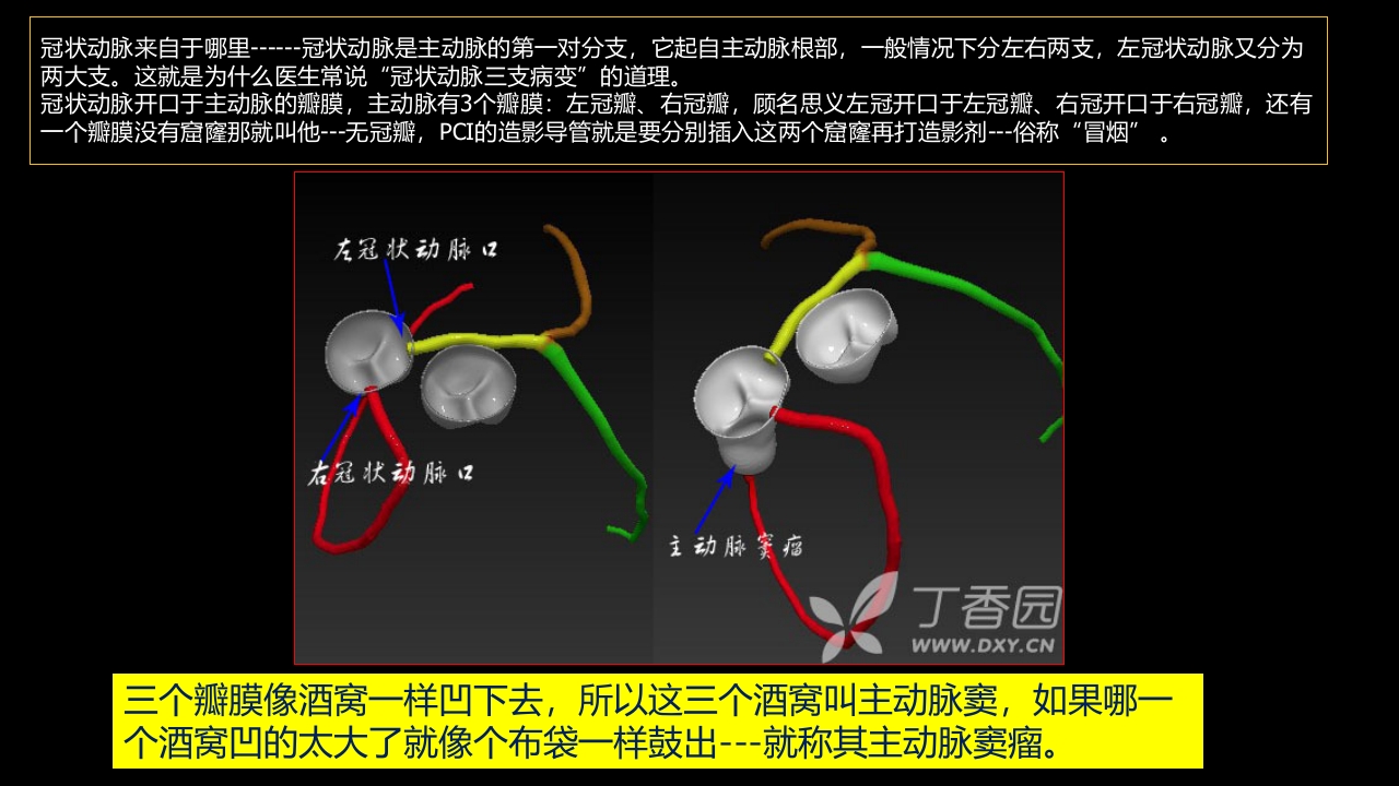 多层螺旋CT冠状动脉疾病诊断再学习之一