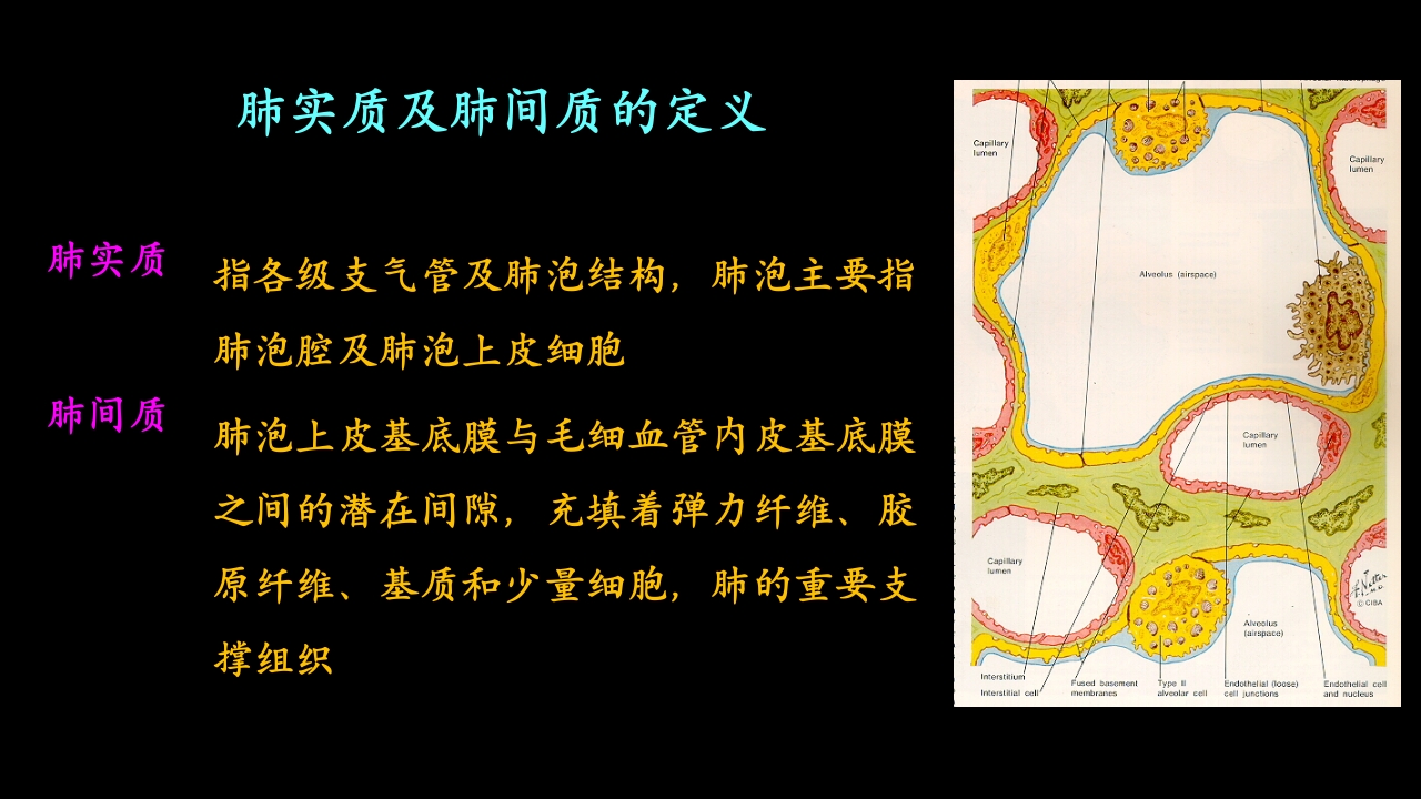 肺部影像学部分病理征象解读