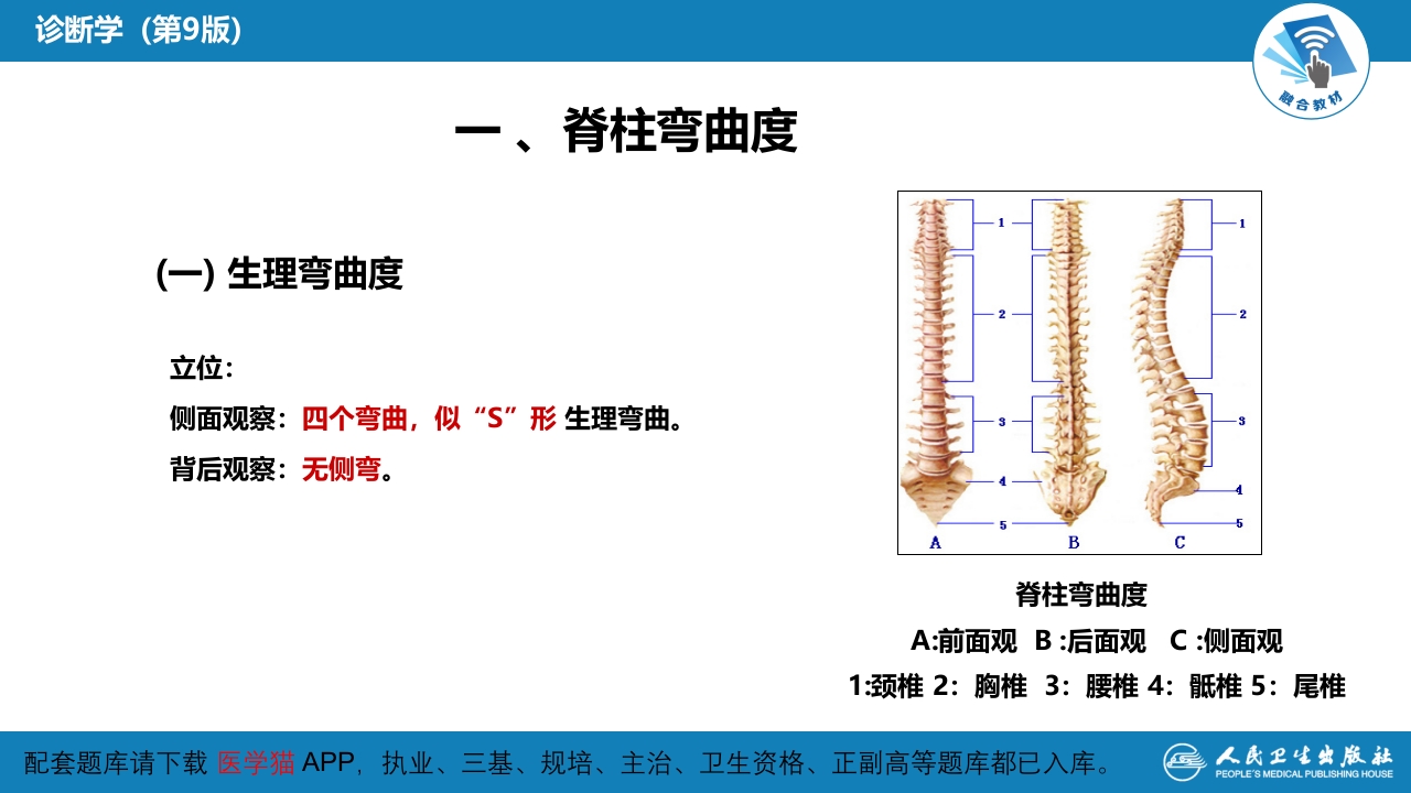 第三篇 体格检查 第八章 脊柱与四肢检查