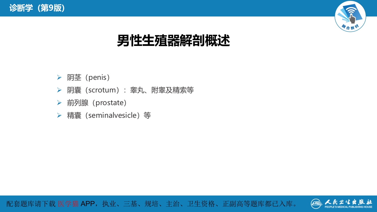第三篇 体格检查 第七章 生殖器、肛门、直肠检查