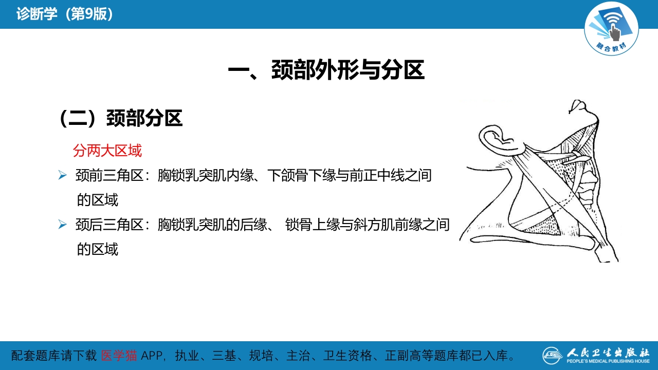 第三篇 体格检查 第四章 颈部检查