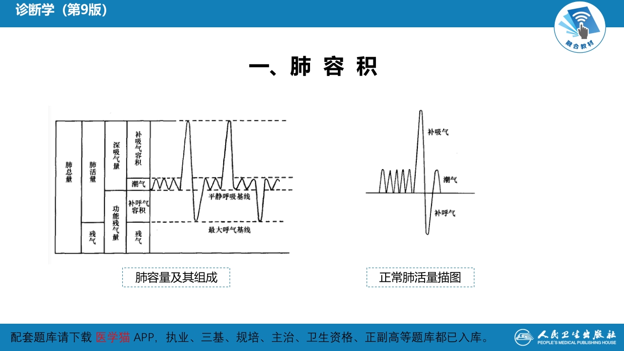 第五篇 辅助检查 第三章 肺功能检查