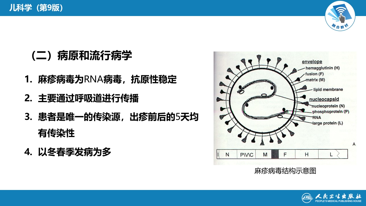 第八章 感染性疾病 第一节 病毒感染