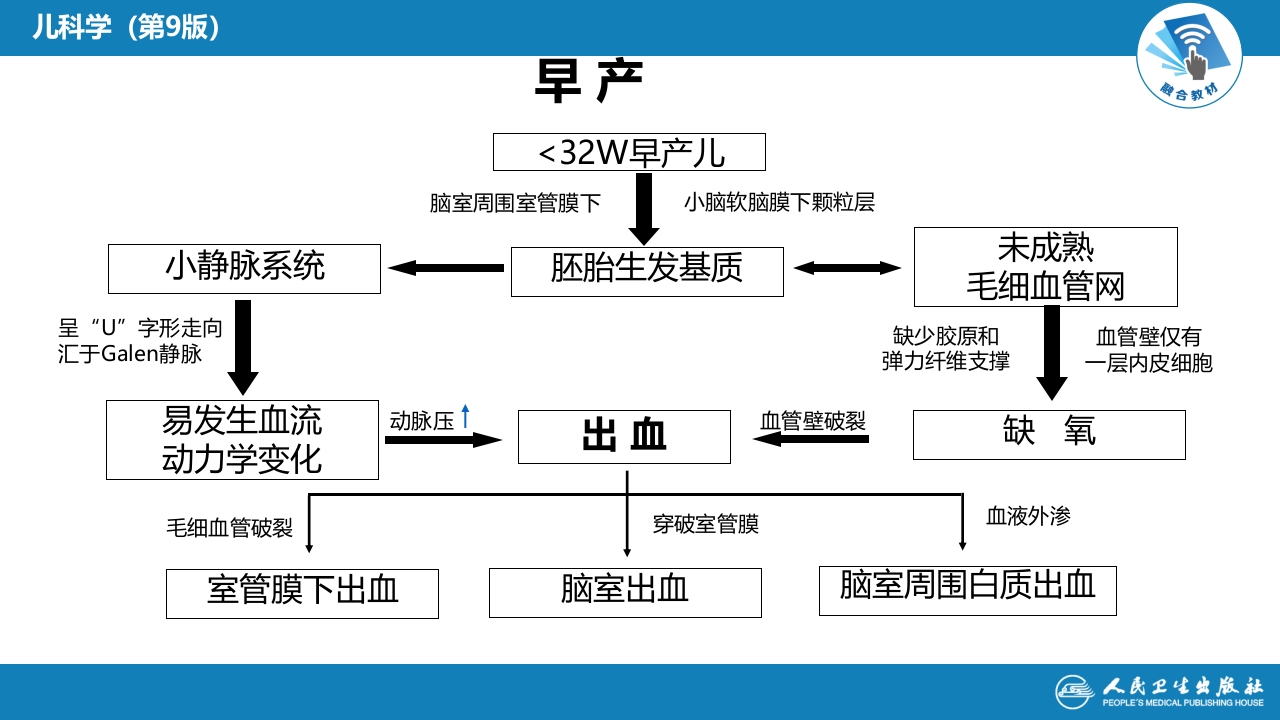 第六章 新生儿与新生儿疾病 第六节 新生儿颅内出血