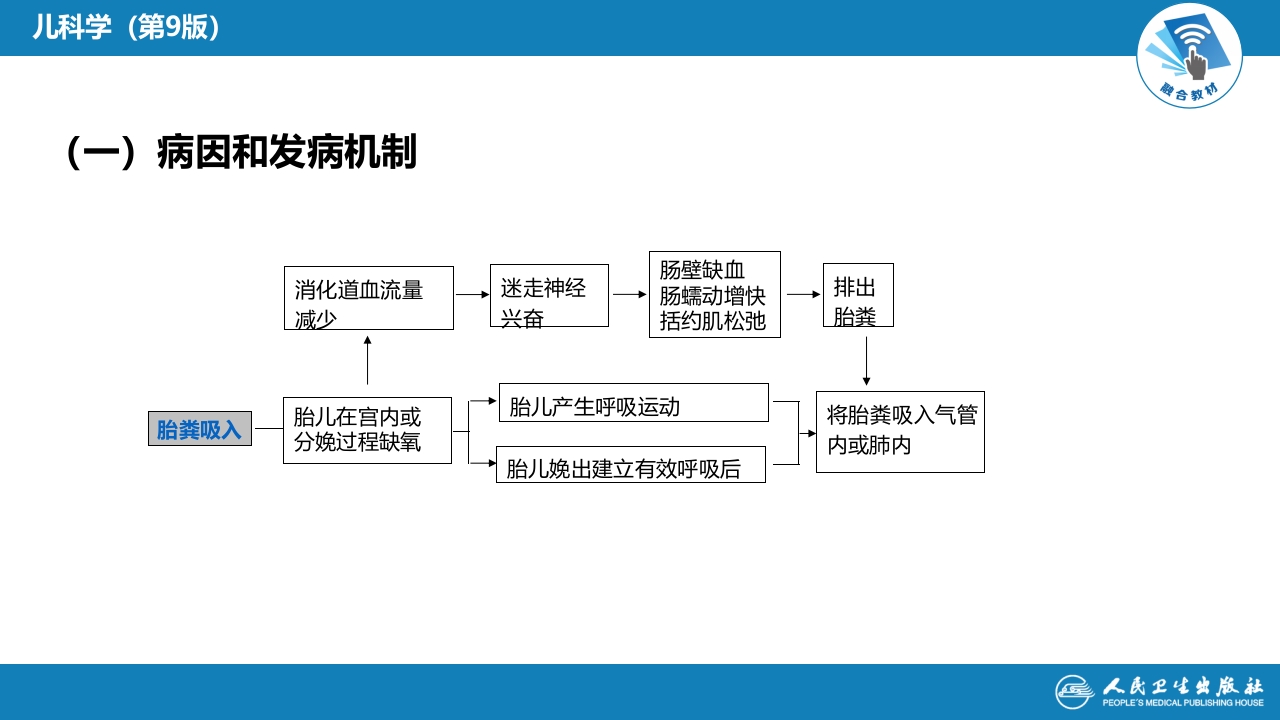 第六章 新生儿与新生儿疾病 第七节-第八节