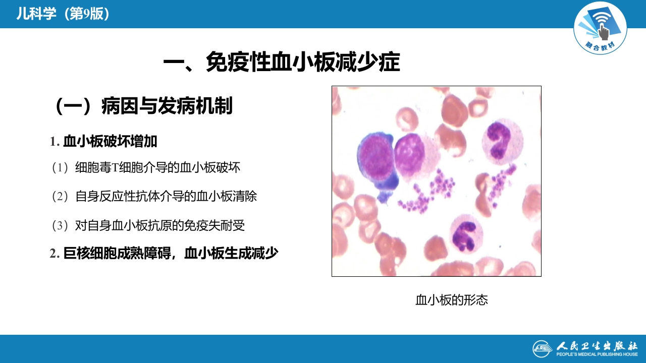 第十三章 造血系统疾病 第五节-第八节