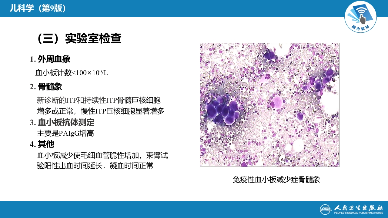 第十三章 造血系统疾病 第五节-第八节