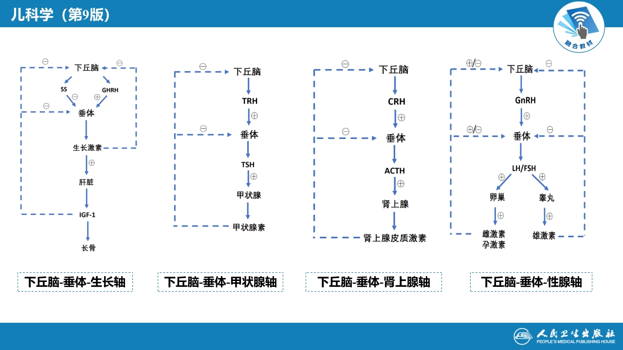 第十五章 内分泌疾病