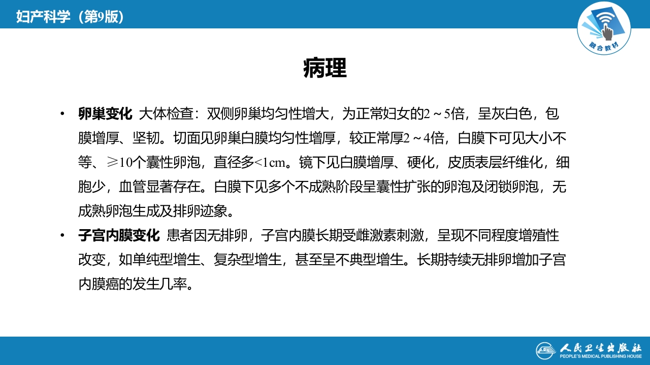 第二十九章 生殖内分泌系统（第3-8节