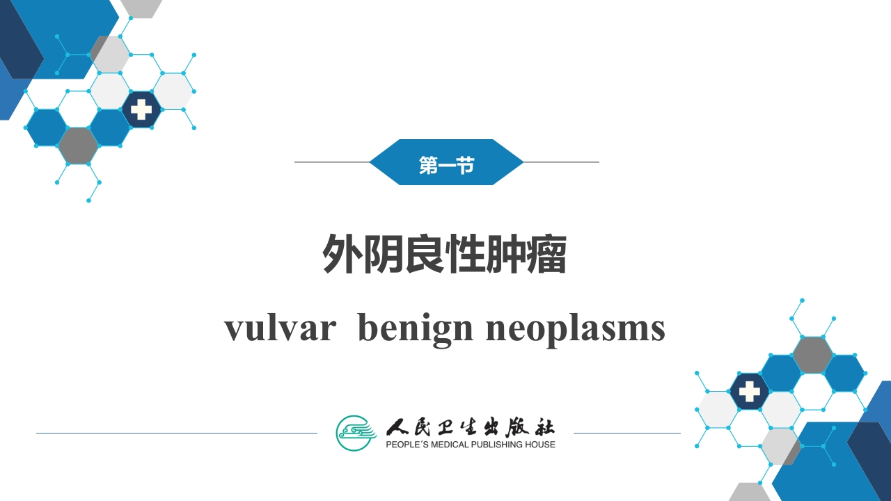 第二十四章 外阴肿瘤.