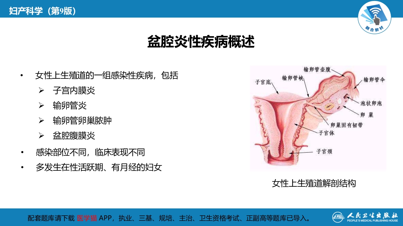 第二十章 盆腔炎性疾病及生殖器结核
