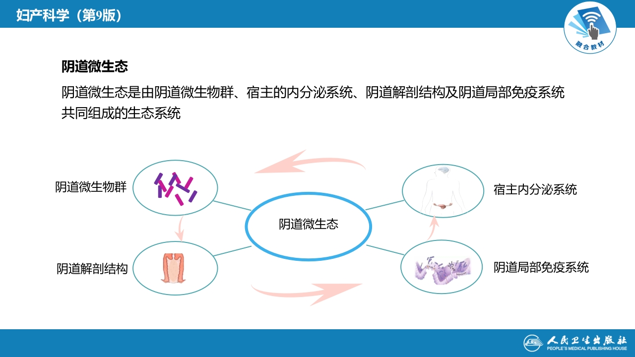 第十八章外阴及阴道炎症（第1节.