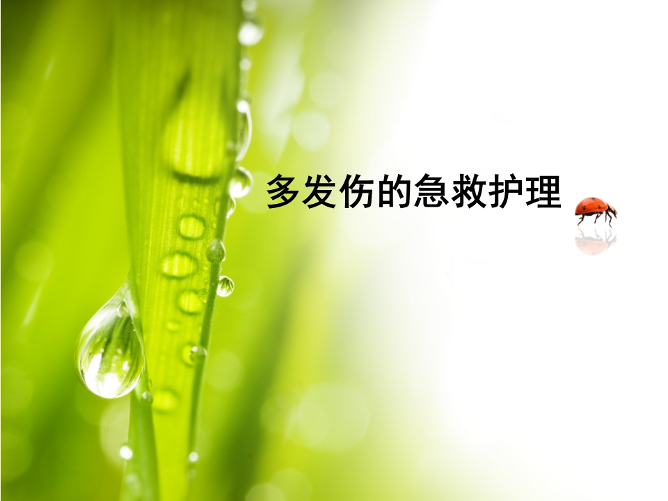 多发伤的急救护理郑磊