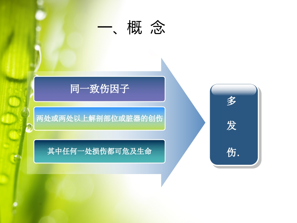 多发伤的急救护理郑磊