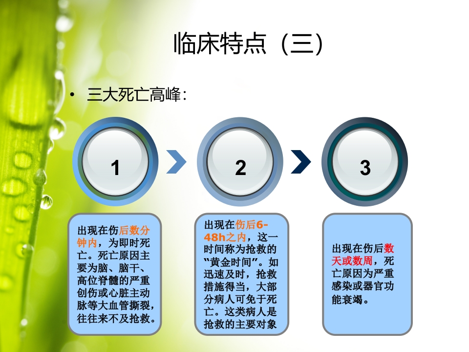 多发伤的急救护理郑磊