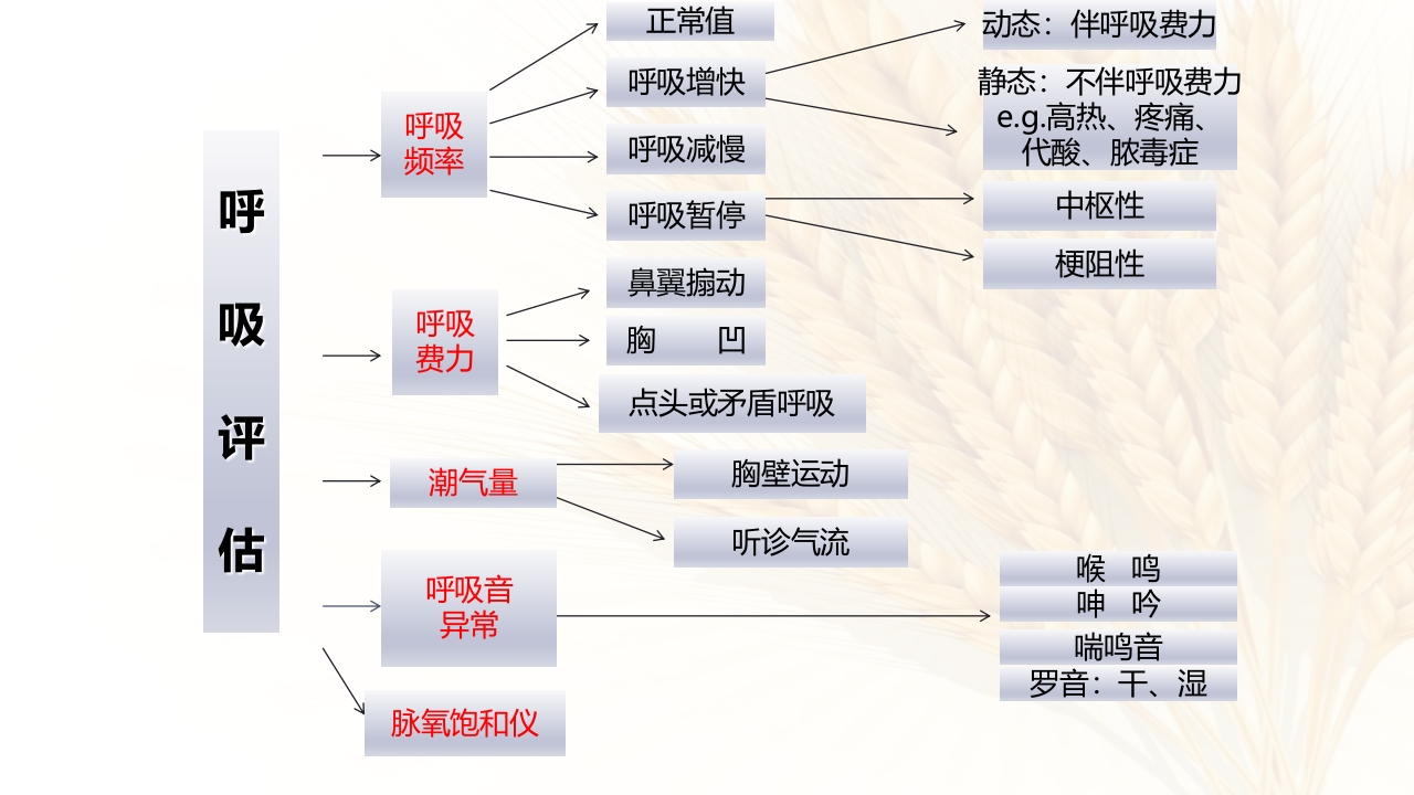 儿科呼吸系统急症应急处理流程