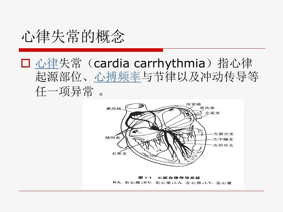 急诊班心律失常