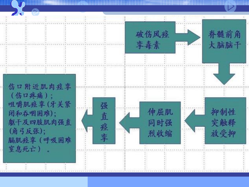 破伤风的临床分级及治疗