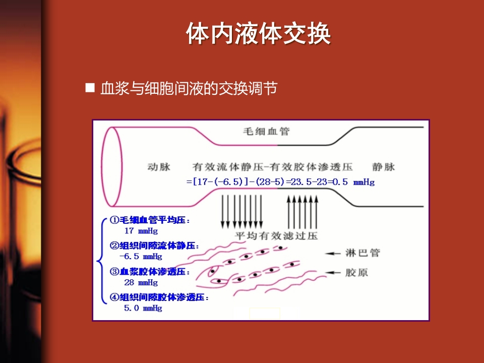 水、电解质与酸碱平衡紊乱