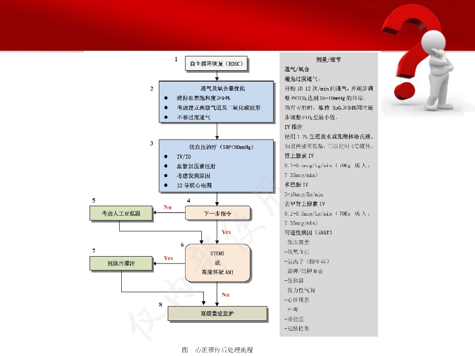 心脏骤停后的管理ppt