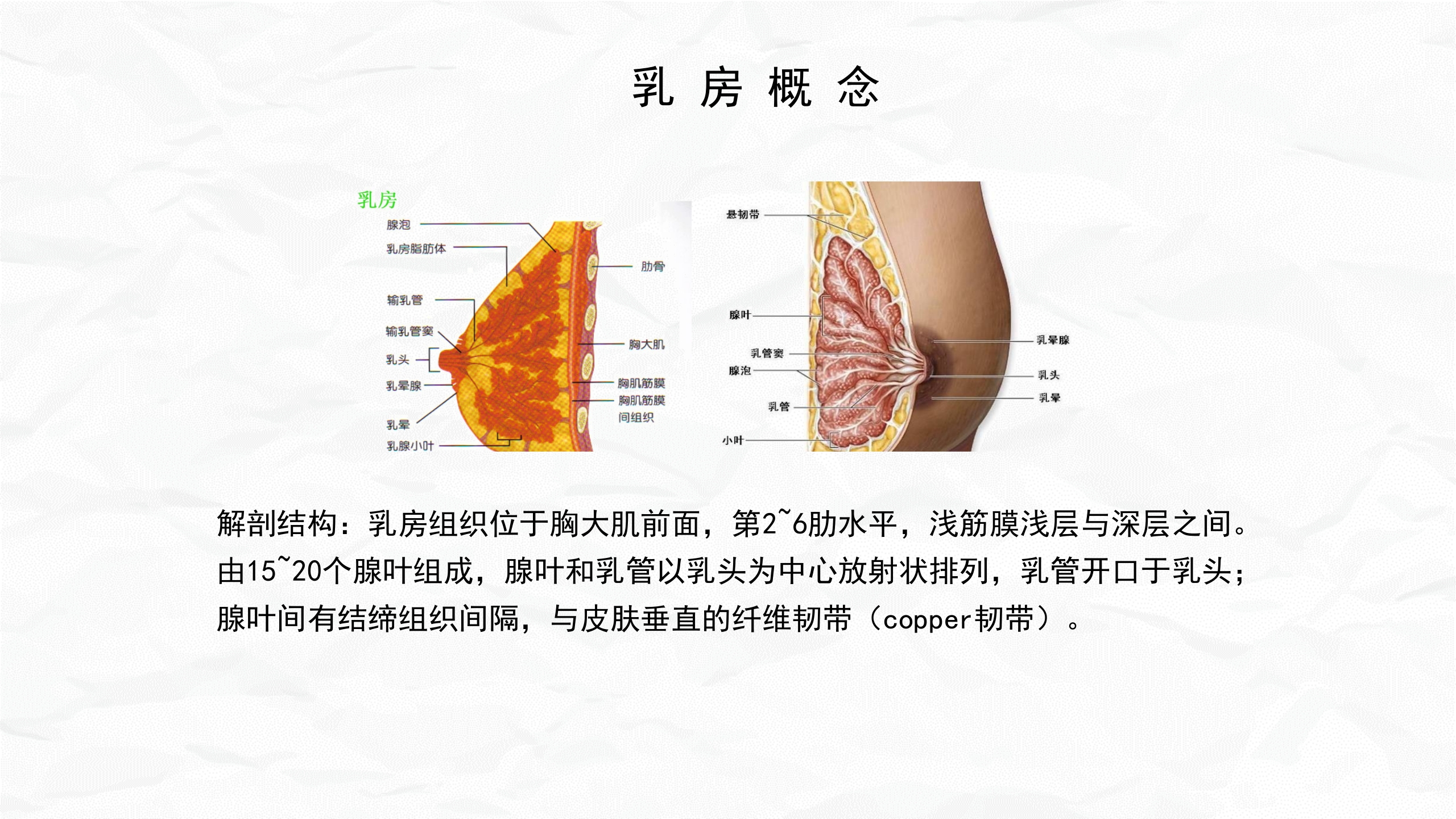 急性乳腺炎护理