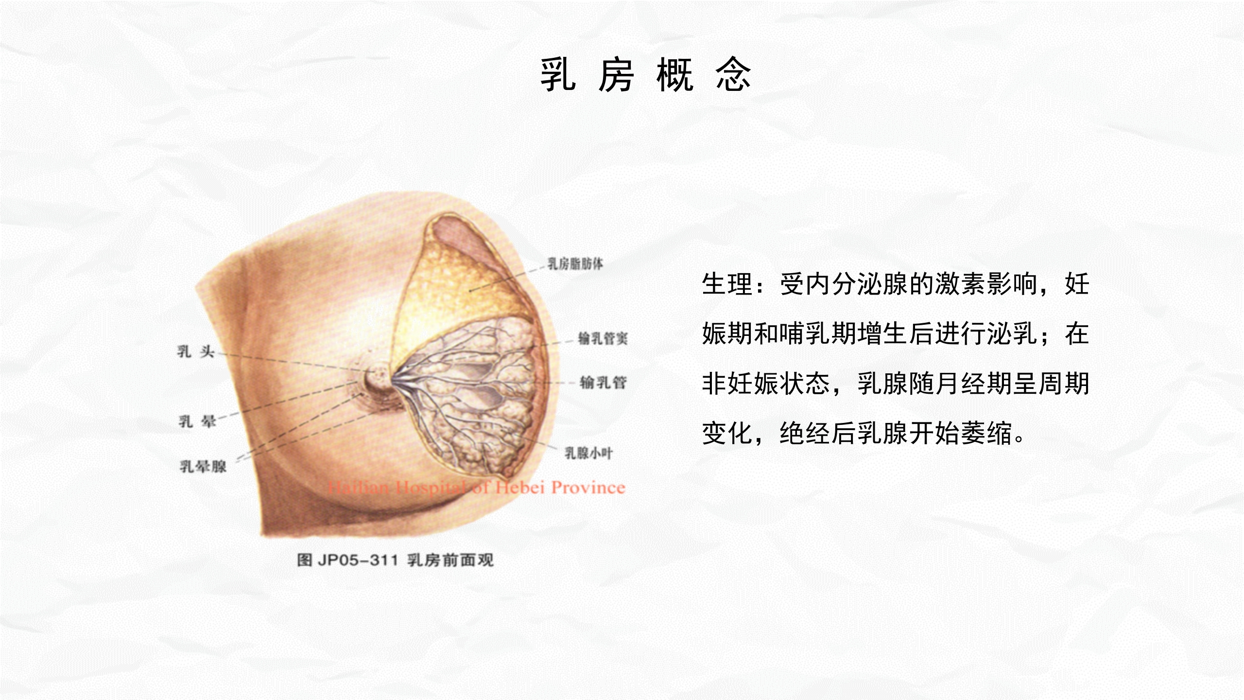 急性乳腺炎护理