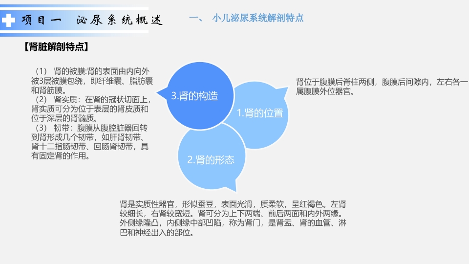 泌尿系统疾病患儿的护理