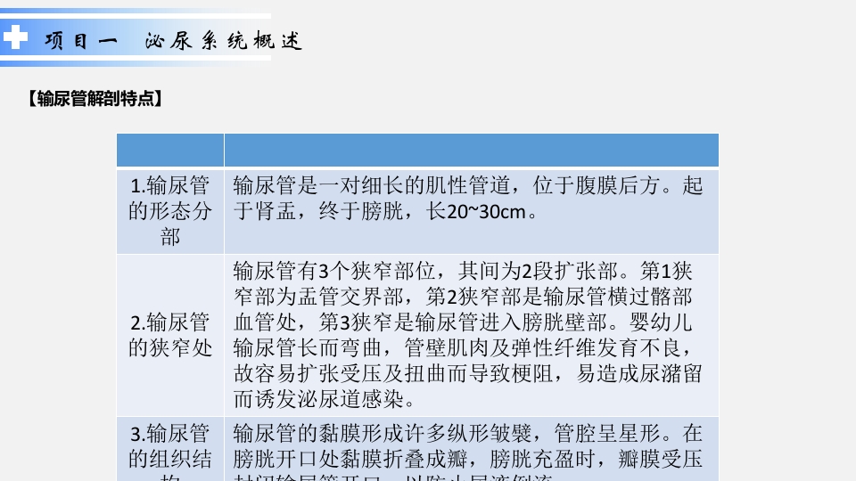 泌尿系统疾病患儿的护理