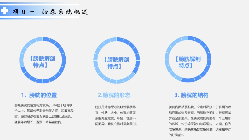 泌尿系统疾病患儿的护理