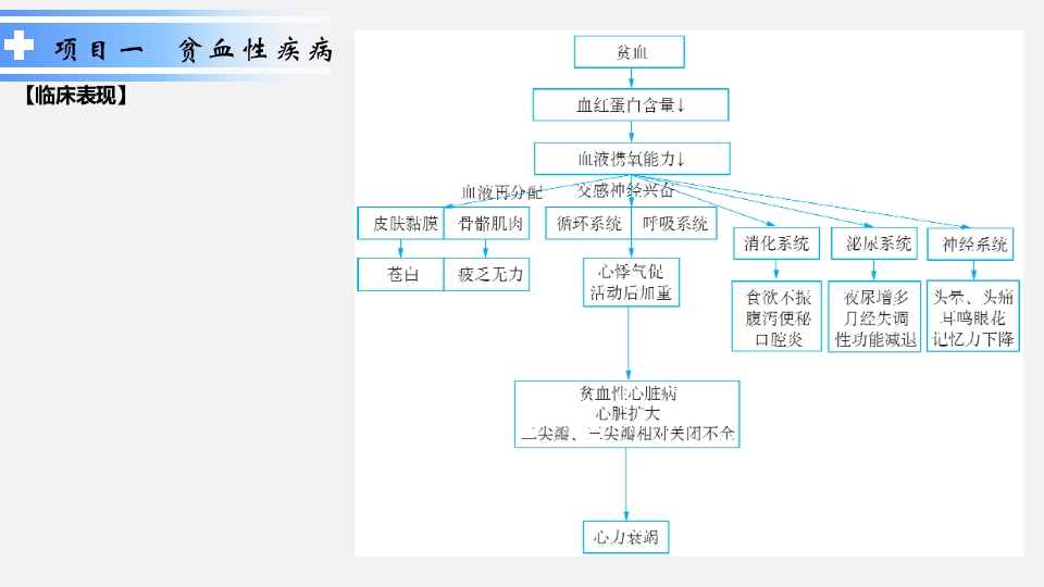 血液系统疾病患儿的护理