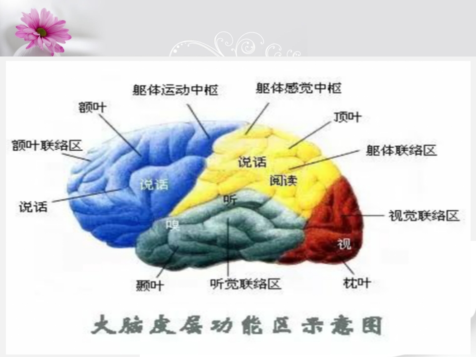 一例大面积脑梗塞患者的康复护理