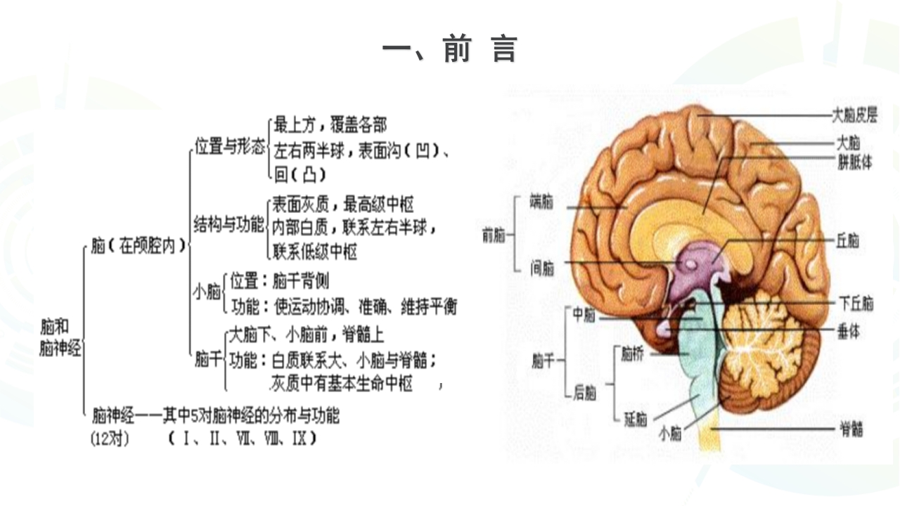 一例多发性脑梗死患者康复护理A