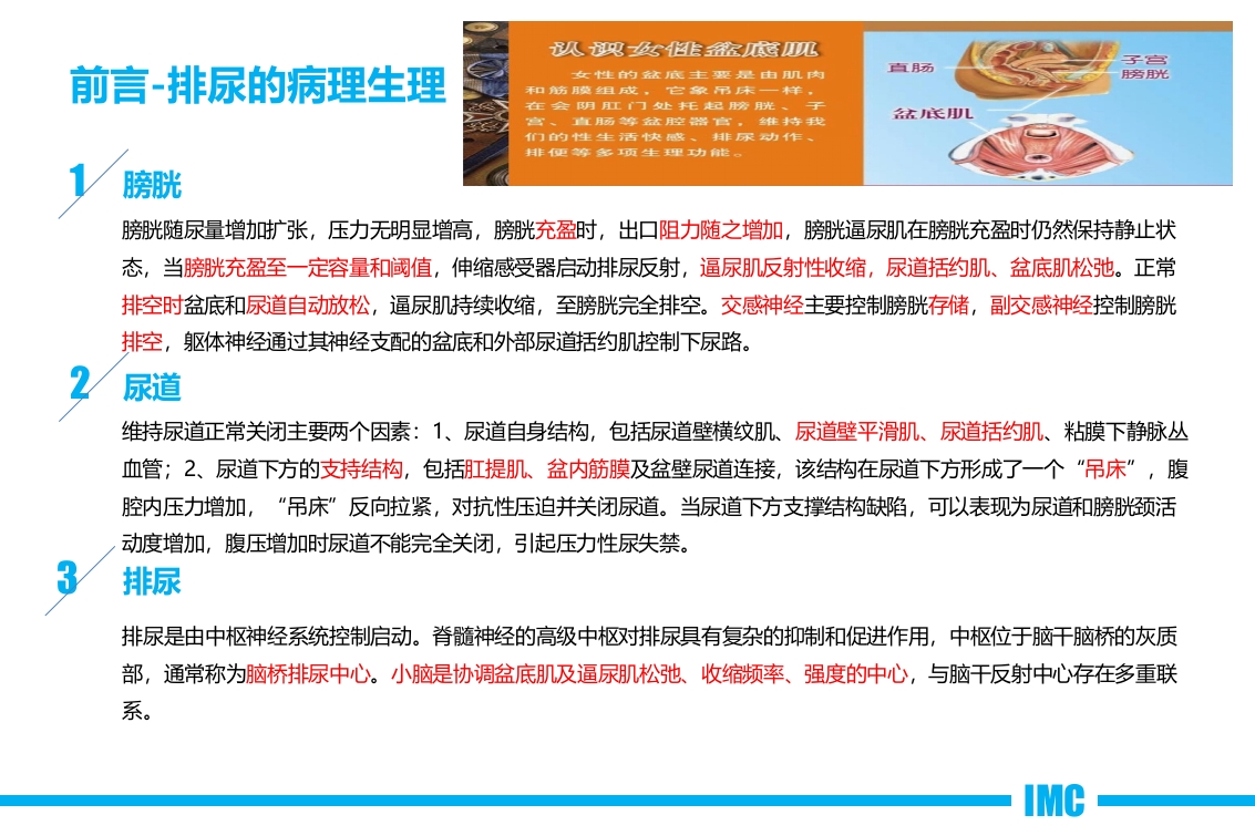 一例压力性尿失禁患者术后个案护理A