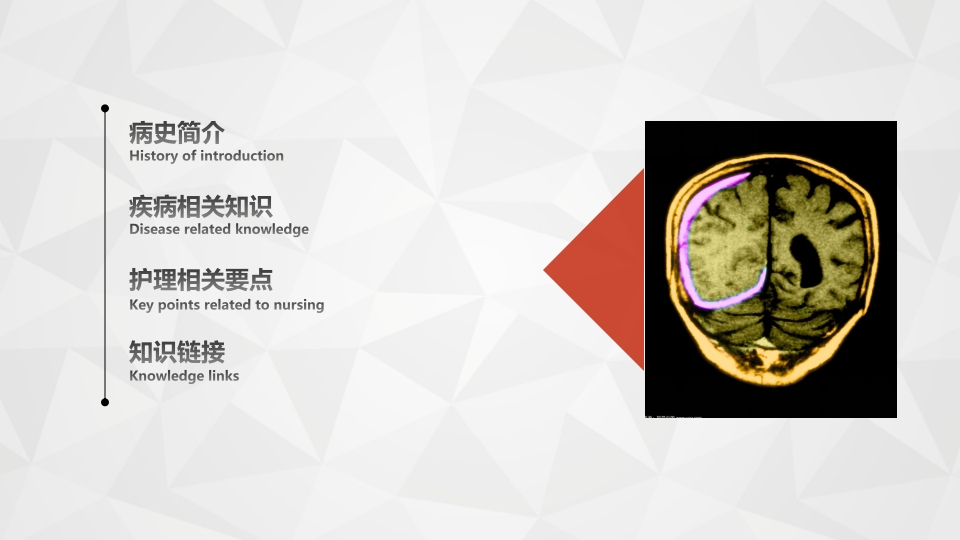 护理查房综合通用-21