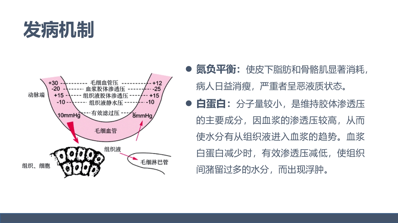 低蛋白血症的护理