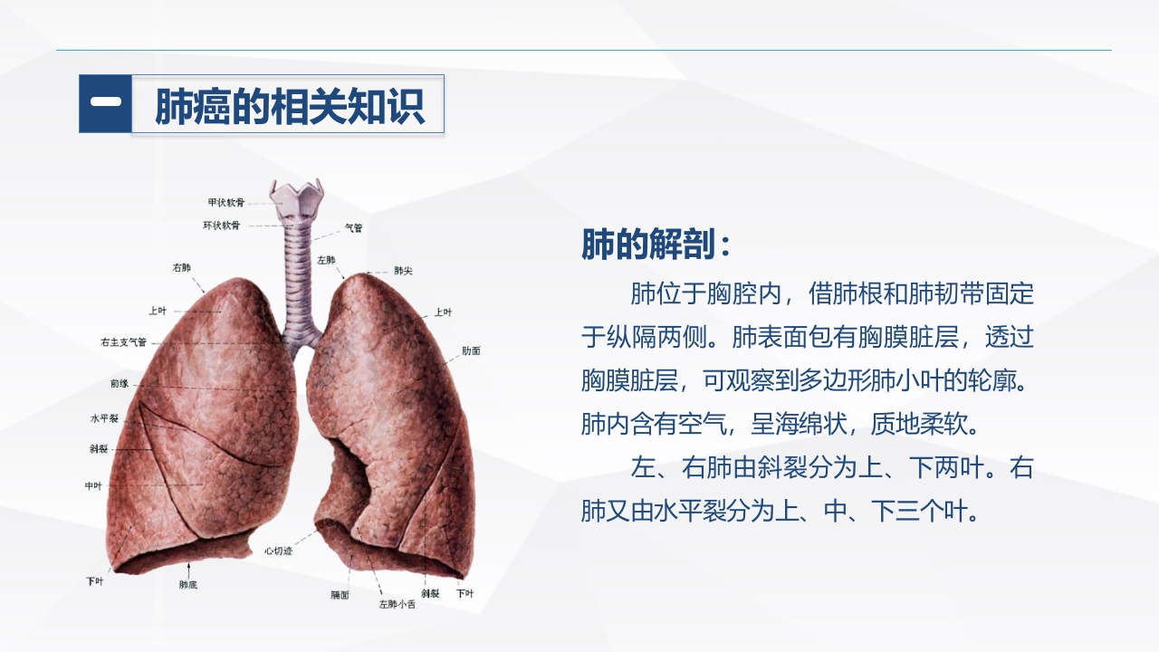 肺癌患者的护理