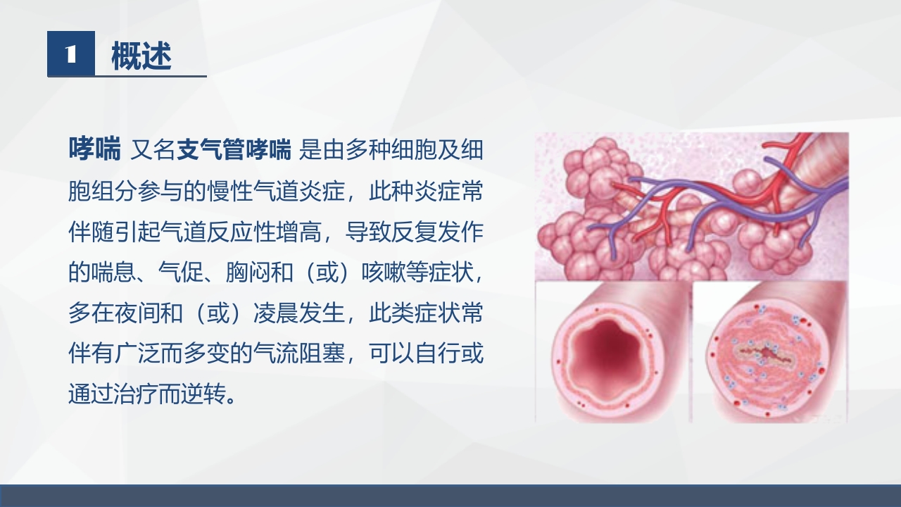 呼吸系统常见疾病的护理业务学习