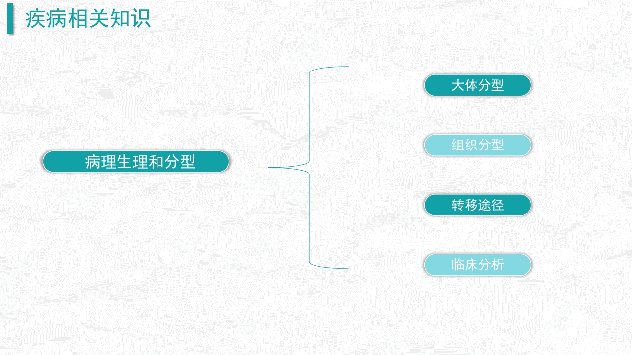结肠癌护理查房