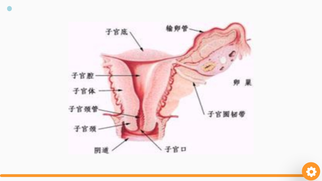 卵巢癌护理查房