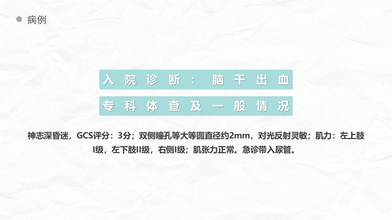 脑出血护理个案