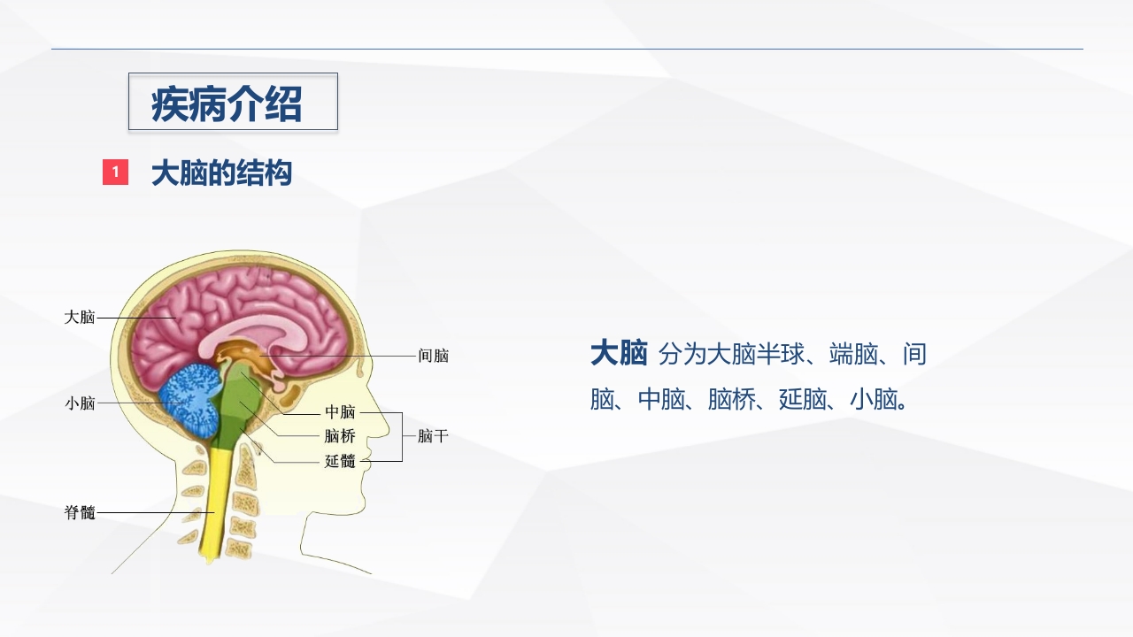 脑出血疾病介绍+术后护理